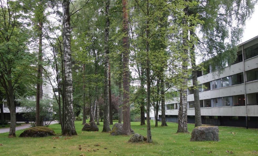Tutkimuksesta selviää, että vanhemmilla kerrostaloalueilla oli enemmän kasvillisuutta ja erityisesti suurikokoista puustoa kuin uusilla tiiviillä asuinalueilla. Kuva Vuosaaren metsälähiöstä. Kuva: Ranja Hautamäki