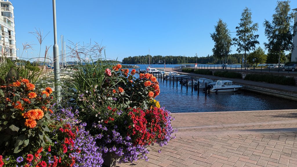 Kallahden Pursilahdenrannan loppukesän kukka- ja väriloistoa.                		               Kuva: Matti Pöhö