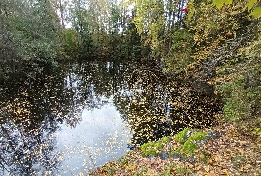 Mustavuoresta on louhittu kalkkikiveä jo 1700-luvulla ja myöhemmin 1950- ja 60-luvuilla Lohjan Kalkkitehdas Oy:n toimesta marmoria.