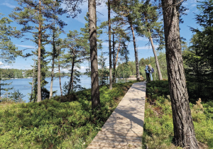 Vartiosaari on itäisessä Helsingissä sijaitseva merellinen virkistyskohde. Kaupunginvaltuusto hyväksyi Vartiosaaren osayleiskaavan, joka tukee alueen virkistyskäytön kehittämistä. Kuva: Mira Lainiola