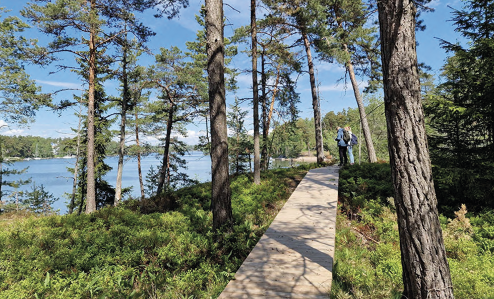 Vartiosaari on itäisessä Helsingissä sijaitseva merellinen virkistyskohde. Kaupunginvaltuusto hyväksyi Vartiosaaren osayleiskaavan, joka tukee alueen virkistyskäytön kehittämistä. Kuva: Mira Lainiola