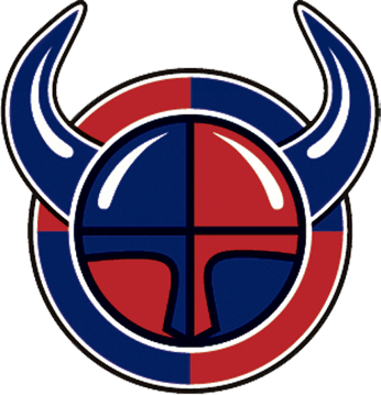 Viikingit_HC_logo kopio