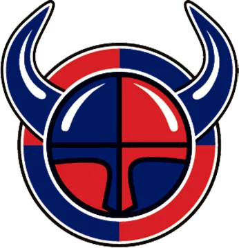 Viikingit_HC_logo kopio