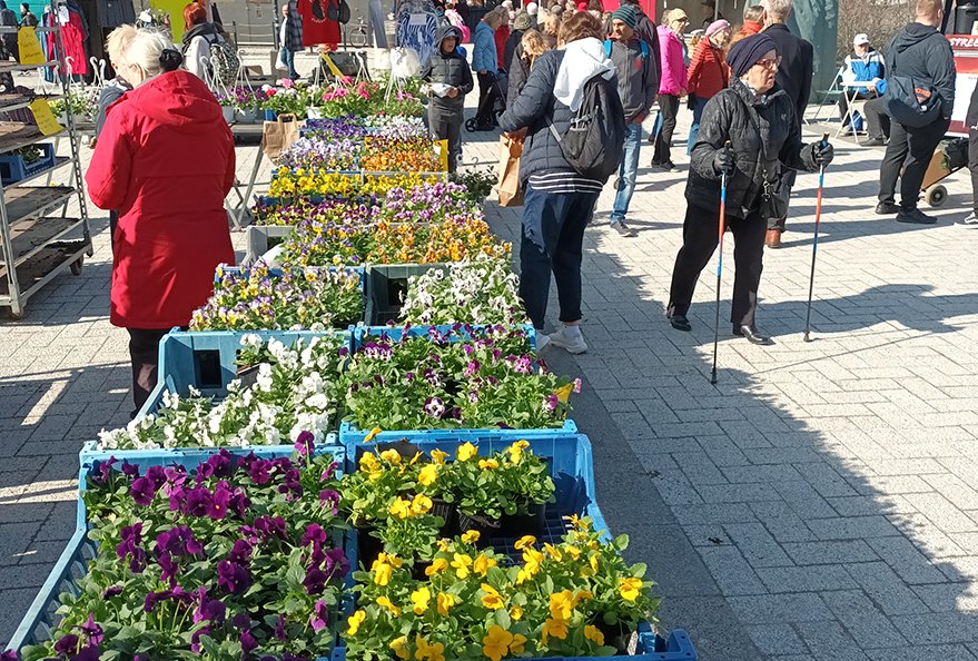 Koleassa mutta aurinkoisessa säässä järjestetyllä iltatorilla oli mukavasti kävijöitä. Seuraava markkinatapahtuma järjestetään 25.5.