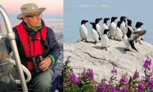 1.4. – 12.6. Muuttolinnut-näyttelyn oheisohjelmaa: Arno Rautavaara: Lintukuvia Suomenlahdelta. Kuva: Soili Stenroos, lintukuva: Arno Rautavaara