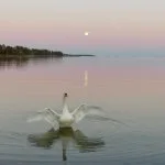 Äitienpäivän ilta