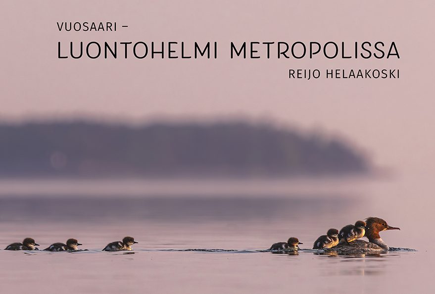 Luontohelmi 19-25