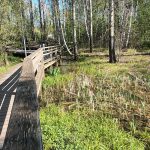 Leikkipaikka Marielundinpuiston puistosuunnitelmaluonnos tulee esille