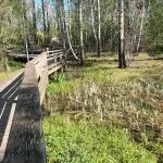 Leikkipaikka Marielundinpuiston puistosuunnitelmaluonnos tulee esille