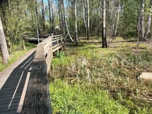 Marielundinpuiston reunalta löytyy myös tällaista maisemaa.