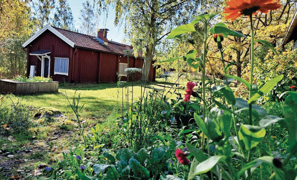 Sjökullan torppa 19-25