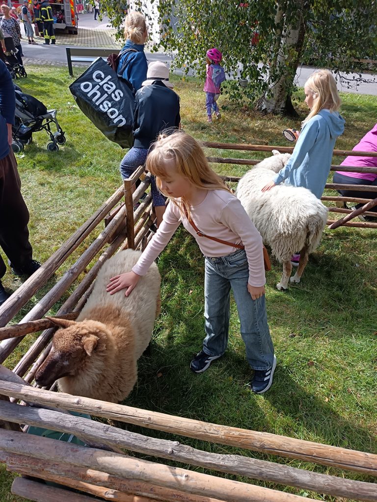 Suomenlammas uuhikaritsa Rusina ja suomenlammas Peppi keräsivät rapsuttelijoita.
