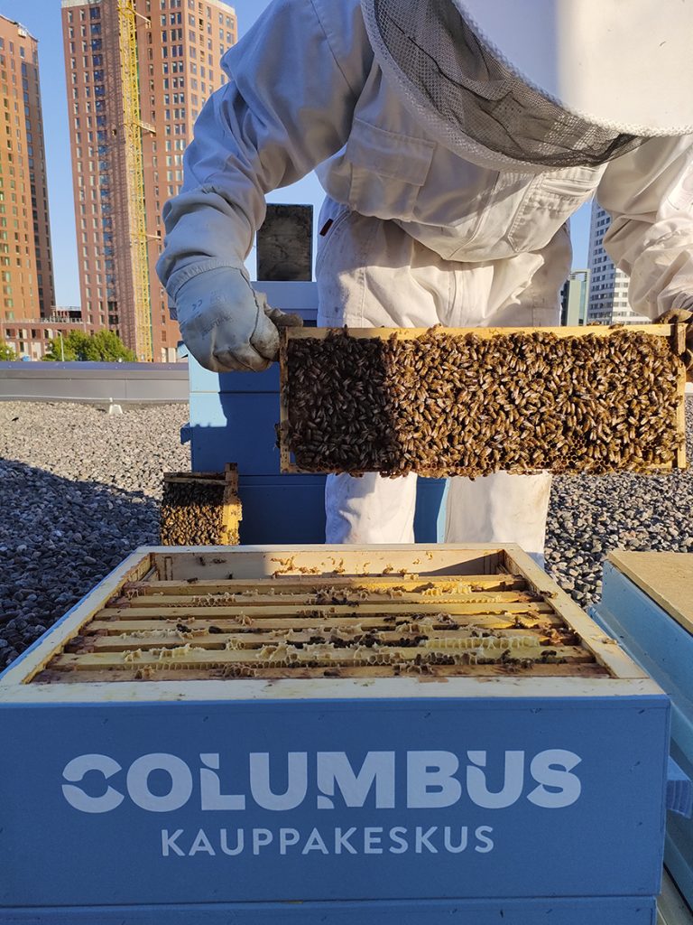 Kauppakeskuksen katolta löytyy mehiläispesiä ja aurinkopaneeleja.