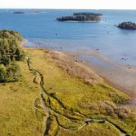 Vuosaaren kasvu tasaantuu