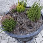 Surullista toimintaa