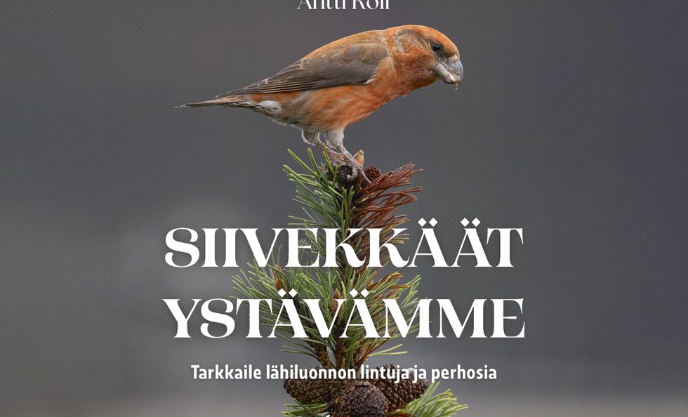 Kansi: Saara Hankama Kannen valokuva: Antti Koli