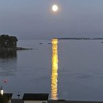 Enää 1,5 viikkoa adventtiin