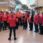 Vola-kuoro saa jouluvieraita