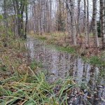 Hoito- ja käyttösuunnitelmia valmistellaan Mustavuoren luonnonsuojelualueille