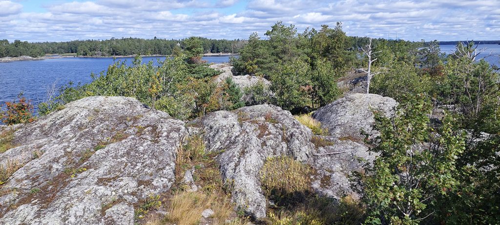 Huomenlahjan jylhien kallioiden painanteissa kasvaa moninaista kasvillisuutta. Kuva: Virpi Karén