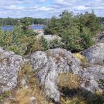 Huomenlahjalle esitetään luonnonsuojelualuetta