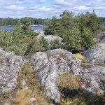 Huomenlahjalle esitetään luonnonsuojelualuetta
