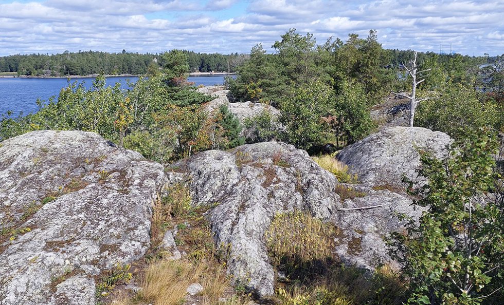 Huomenlahjan jylhien kallioiden painanteissa kasvaa moninaista kasvillisuutta. Kuva: Virpi Karén