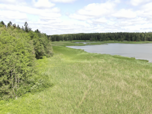 Porvarinlahden etelärannan ranta-aluetta Porvarinlahden puolella. Virpi Karén