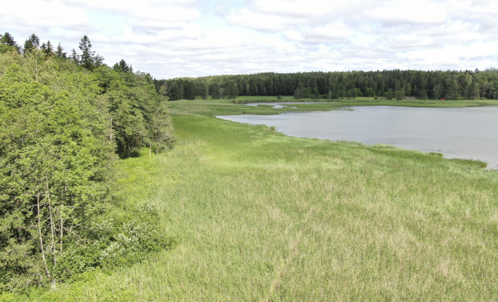 Porvarinlahden etelärannan ranta-aluetta Porvarinlahden puolella. Virpi Karén