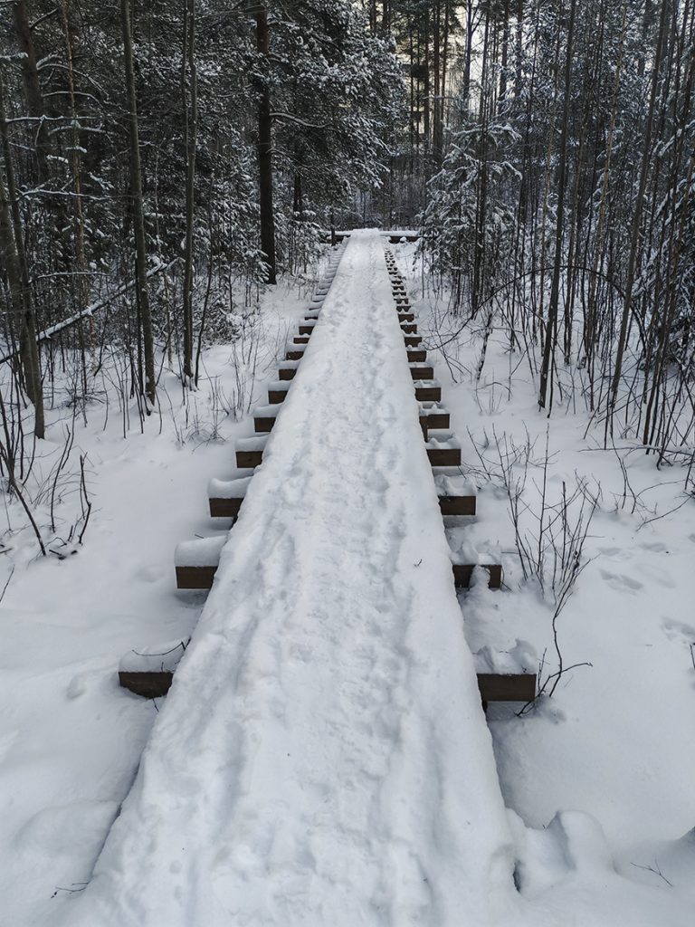 Kivisaarentien ja Kallvikintien kulman kosteikkoalueelle on asennettu pitkospuut.