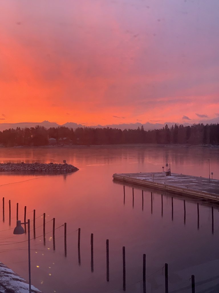 Pursilahdenrannassa 1.1.2026.                           Kuva: Riitta Vuoresmaa  