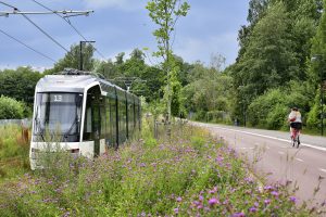 Ratikka 13 ja sen ympäristö. Kuva: Teina Ryynänen