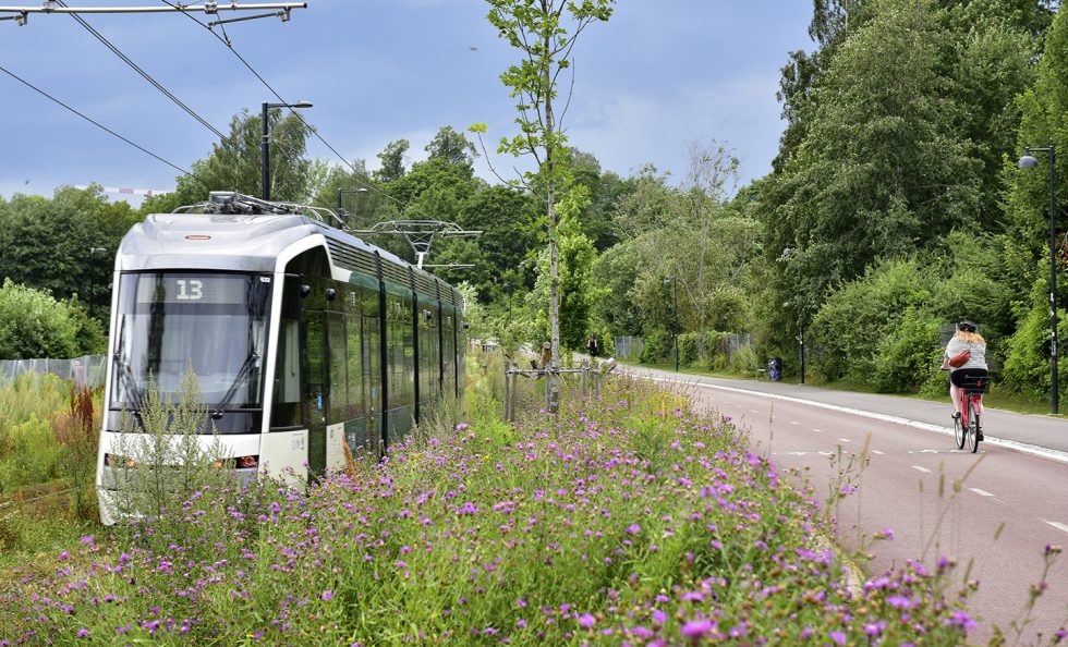 Ratikka 13 ja sen ympäristö. Kuva: Teina Ryynänen