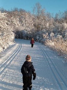 Talvinen sää on saanut ulkoilijat, luistelijat, hiihtäjät, avantouimarit ja pulkkailijat liikkeelle. Helsingin latujen, luistinratojen ja avantouintipaikkojen kunnot ja aukiolot kannattaa tarkistaa netistä osoitteesta www.ulkoliikunta.fi