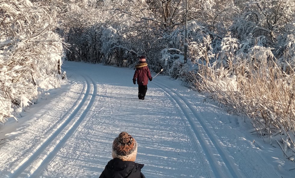 Talvinen sää on saanut ulkoilijat, luistelijat, hiihtäjät, avantouimarit ja pulkkailijat liikkeelle. Helsingin latujen, luistinratojen ja avantouintipaikkojen kunnot ja aukiolot kannattaa tarkistaa netistä osoitteesta www.ulkoliikunta.fi