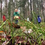 Maksuttomat tanssi- ja luontotyöpajat kaikenikäisille starttaavat Vuotalossa