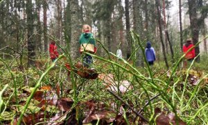 26.2. ja 28.2. tanssi- ja luontotyöpajat. Kuva: Jenni Koistinen