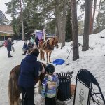 Talvirieha Rantapuistossa