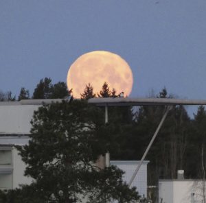 4.3. Aurinkolahdessa aamun laskeva täysikuu. Kuva: Katri Lehtonen