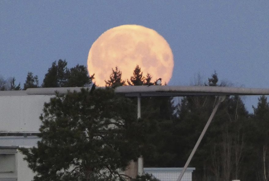 4.3. Aurinkolahdessa aamun laskeva täysikuu. Kuva: Katri Lehtonen