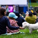 Helsinkiläiset äänestivät OmaStadissa saunoja, vehreyttä ja toimintaa nuorille