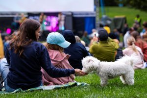 OmaStadi-hankkeet lisäävät toiminnallisuutta ja viihtyisyyttä Helsinkiin. Kuva: Jukka Vaso, Helsingin kaupunki