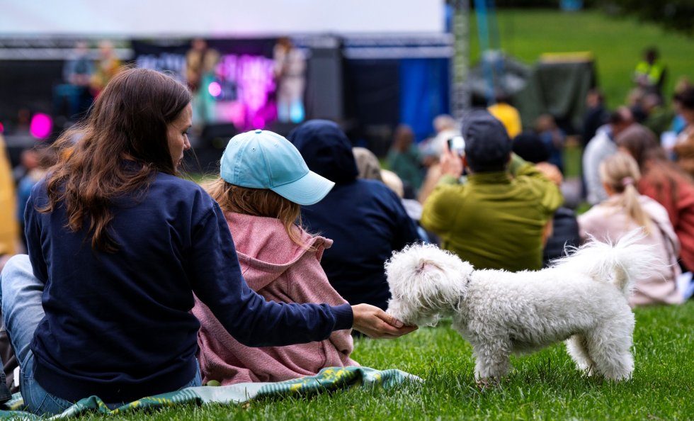OmaStadi-hankkeet lisäävät toiminnallisuutta ja viihtyisyyttä Helsinkiin. Kuva: Jukka Vaso, Helsingin kaupunki
