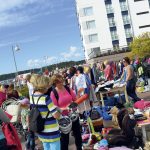 Aurinkokirppis taas rantabulevardilla 16.5.