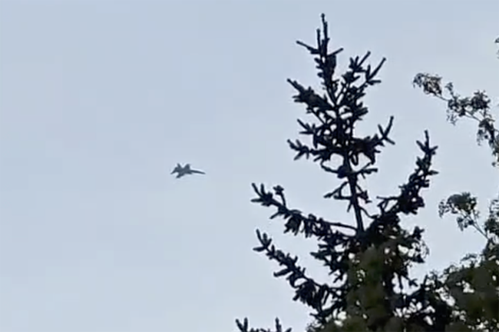 Hornet 19-26