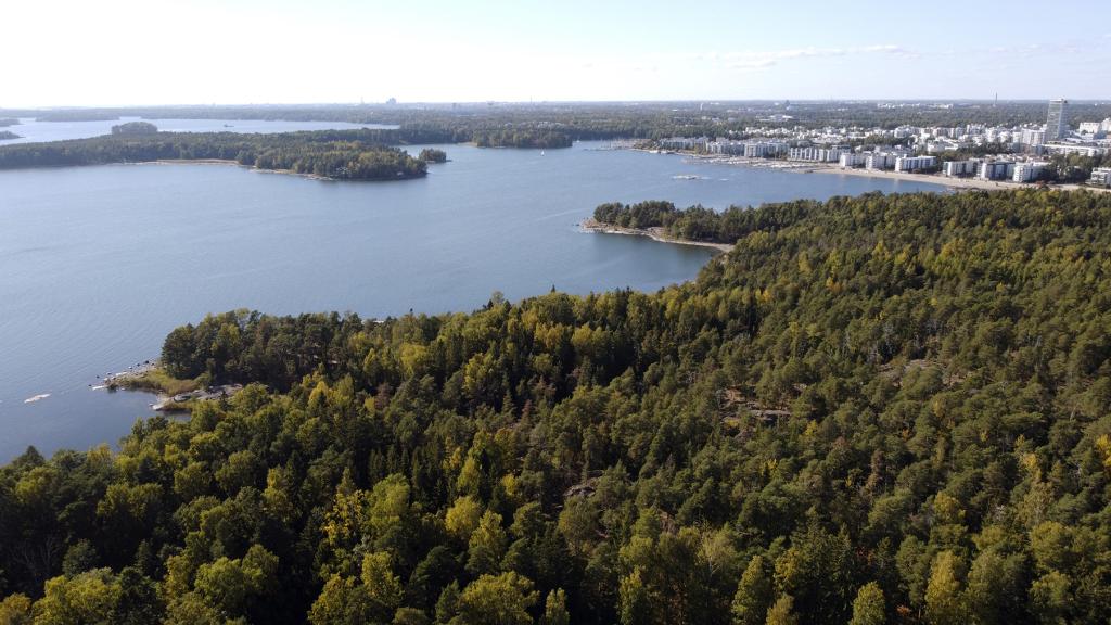 Uutelaa ilmasta käsin. Kuva: Antti Honkanen