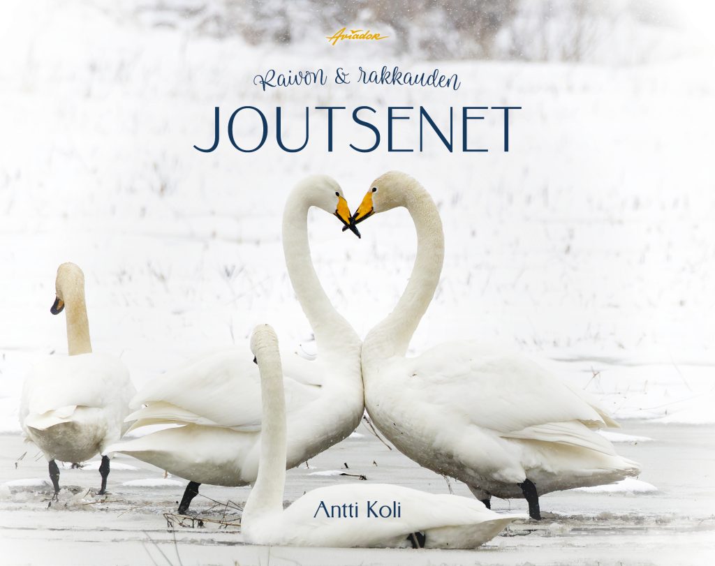 Antti Koli: Raivon ja rakkauden joutsenet. Kustantaja: Aviador. Sivumäärä: 160. Kansi: Saara Hankama (kannen valokuva: Antti Koli).