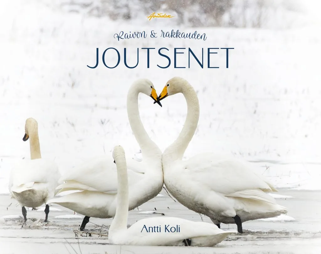 Antti Koli: Raivon ja rakkauden joutsenet. Kustantaja: Aviador. Sivumäärä: 160. Kansi: Saara Hankama (kannen valokuva: Antti Koli).