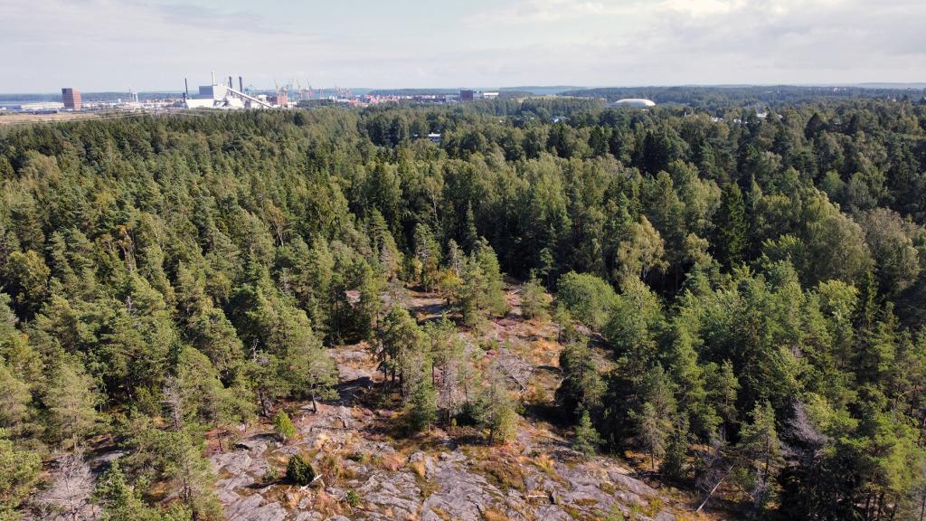 Mustavuoren suunnittelualueella on arvokkaita kallioita. Taustalla näkyy Vuosaaren satama. Ilmakuva: Antti Honkanen