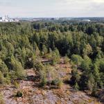 Myös Helsingin luonnonsuojeluyhdistys tyrmää Mustavuoren rakentamissuunnitelmat